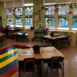 First Grade Rain Forest Unit First Grade Rain Forest Unit